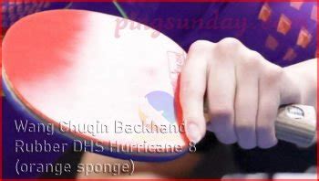 Wang chuqin equipment.  Wooden Dummies, Long Poles, Spring Arm Devices, Du...