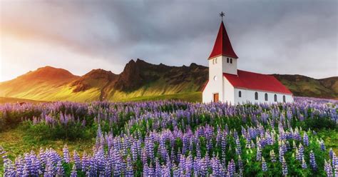 Want to Get Paid to Live in Iceland? How to Apply for the …