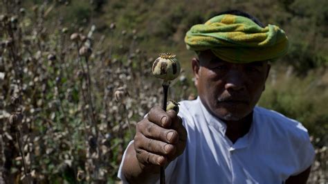War-wracked Myanmar is now the world’s top opium producer, surpassing Afghanistan, says UN agency