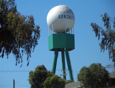 Ward Gonzales  Cali