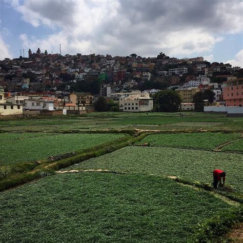 Ward Hill Instagram Antananarivo