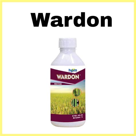 Wardon. Things To Know About Wardon. 