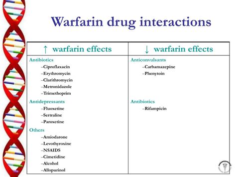 Warfarin sodium and L-theanine drug interactions