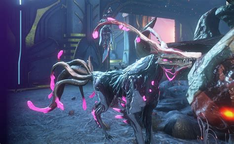 Warframe best pets. Aside from Khora, there's also Oberon with his pet-based passive. Other support frames with abilities that affect pets, like Wisp, are also good as well for keeping pets alive. Now, to really feel like you're playing with your pet, I highly recommend using the full Mecha set with a Kubrow or Predasite. 1. Award. 