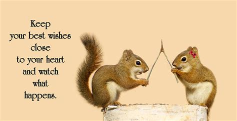 Warm Birthday Wishes. Photograph by Kelly Nelson