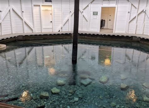 Warm springs pools. About. Experience the allure of the Warm Springs Pool, a historic haven for travelers worldwide, including notable US Presidents. Immerse yourself in the 19th-century … 
