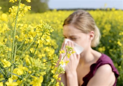 Warming climate leading to allergy seasons starting sooner