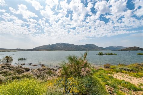 Warning issued over high algae levels in Lake Perris