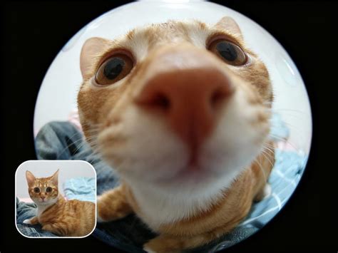 Warp fisheye effect.  No software needed! Apply a classic fisheye lens distortion effe...