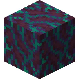 Warped Hyphae Block in Minecraft
