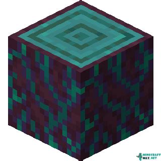 Warped Stem in Minecraft in Minecraft