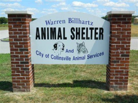 Warren county animal shelter. Things To Know About Warren county animal shelter. 