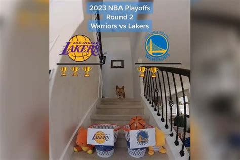 Warriors-Lakers series going exactly as basketball-playing dog predicted. Will ‘Air Corg’ turn out right?