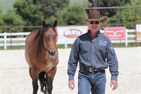 Warwick schiller. Over 600 unedited, unscripted full-length training videos. Laid out in an easy, step by step order (YouTube format) You can choose which path fits with your horse - Relationship or Skills. Available 24/7 on any device. Robust online community support of like-minded, positive horse people. Personal, daily support from … 