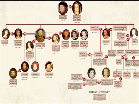 Was Queen Elizabeth related to Henry VII? Homework.Study.com