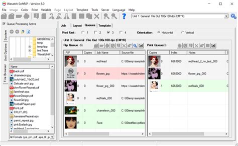 Wasatch softrip for sale. 0 introduces an improved user interface, reliable l...