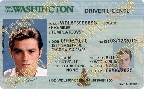 Washington Driver License Template PSD PSD Templates