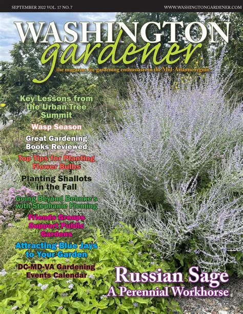 Washington Gardener Magazine February 2024 by Kathy J - Issuu