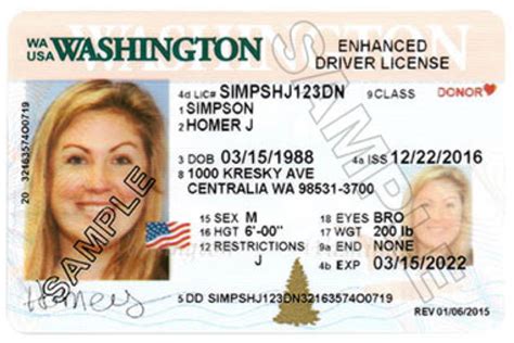 Washington How To Apply Drivers License DMVGO