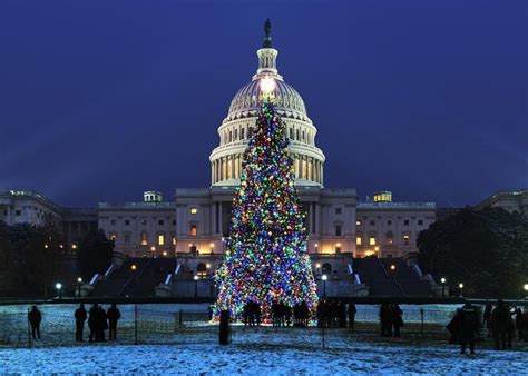Washington dc christmas lights. DC Holiday Lights. 📅 Nov. 17 to Jan. 7, 2024. 📍 Main Streets of D.C. 💲 Free. 🔗 Details. Explore D.C.’s dazzling lights and decor in your neighborhood and beyond, … 