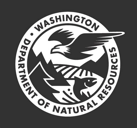 Washington state dnr. Things To Know About Washington state dnr. 
