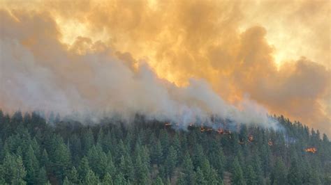 Washington state governor requests federal aid for survivors of August wildfires