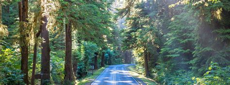 Washington to Forks - 6 ways to travel via train, plane