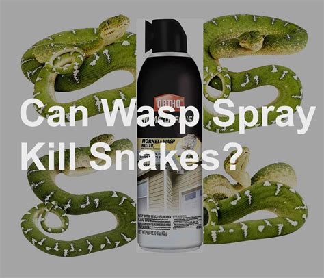 A lot of people started sending me PMs about using wasp spray as