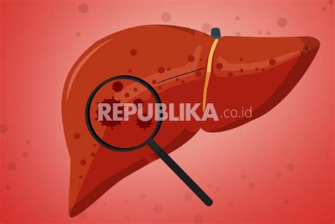 Waspadai Jalur Penularan Hepatitis B Republika Online