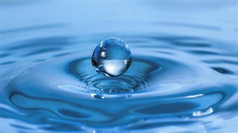 Beli Pompa Booster Wasser terbaik harga murah September 2023 terbaru di Tokopedia! ∙ Promo Pengguna Baru ∙ Kurir Instan ∙ Bebas Ongkir ∙ Cicilan 0%. 