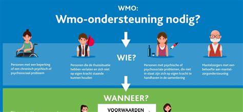 Wat doet de wmo