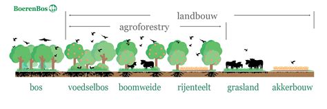 Wat is agroforestry
