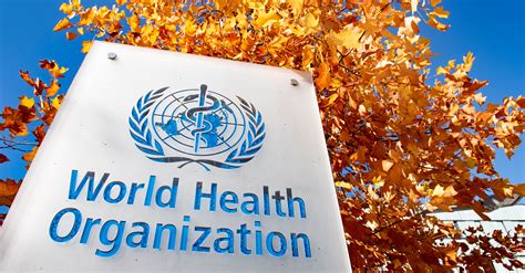 Wat is de World Health Organization