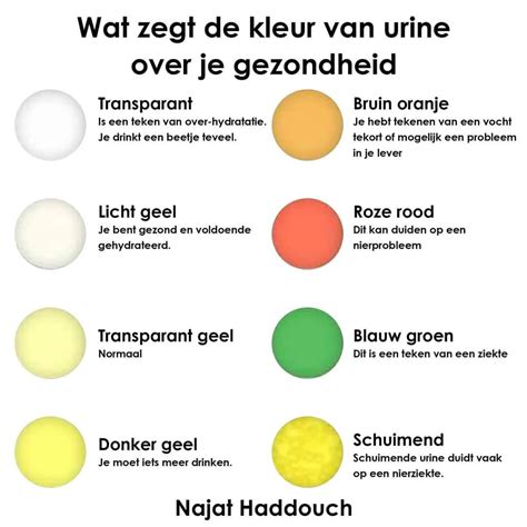 Wat is de betekenis van verhoogde epitheelcellen in urine?