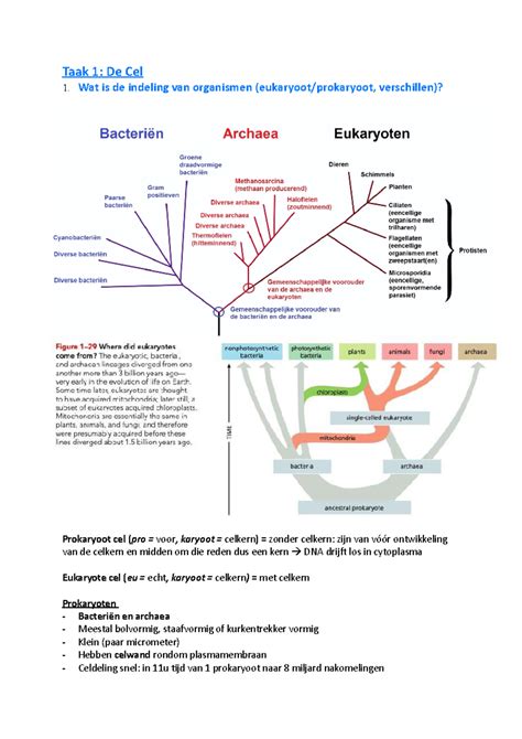 Wat is de taak van data-analyse
