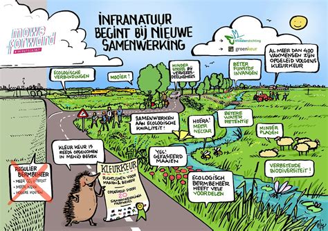 Wat is ecologisch bermbeheer