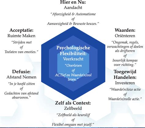Wat is een ACT-traject