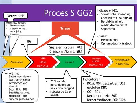 Wat is een SGGZ traject