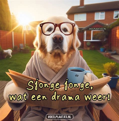Wat is een ggz-traject