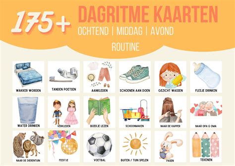 Wat is een goede dagroutine