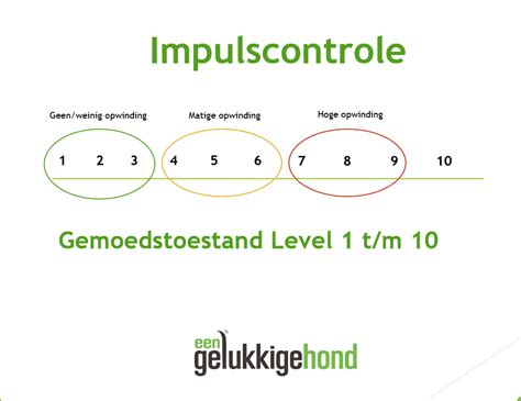 Wat is een slechte impulscontrole