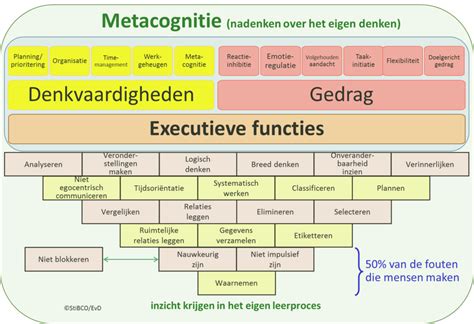 Wat is executief functioneren