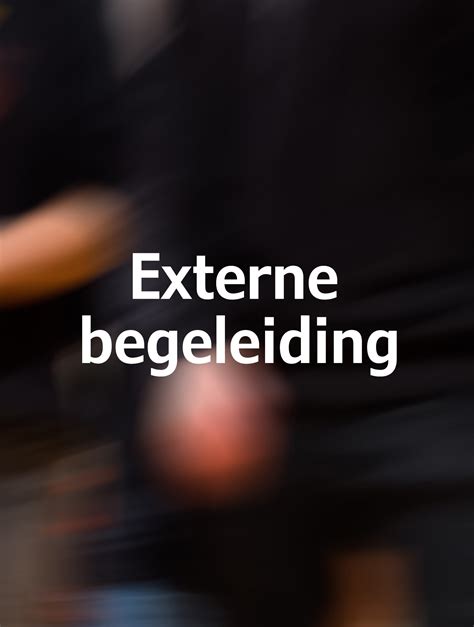 Wat is externe begeleiding