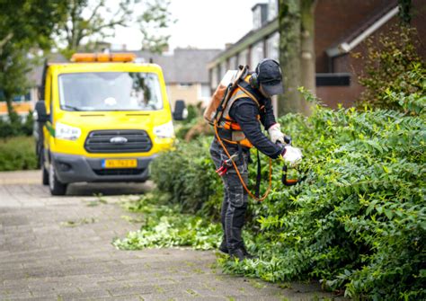 Wat is groen onderhoud
