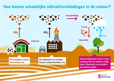 Wat is het binding probleem