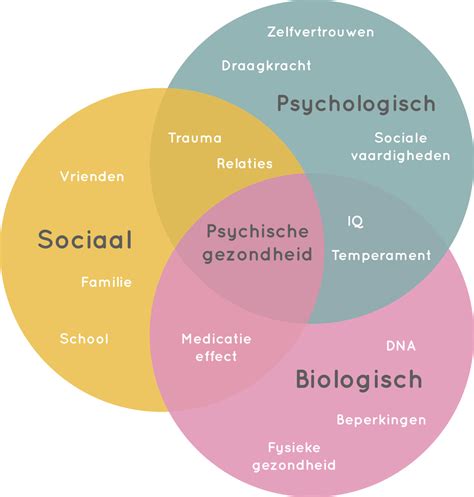 Wat is het biopsychosociale model