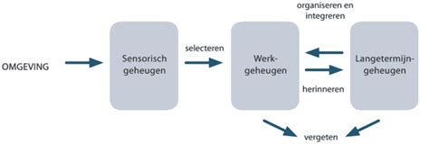 Wat is het werkgeheugen