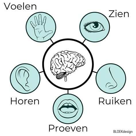 Wat is sensorische hypersensitiviteit