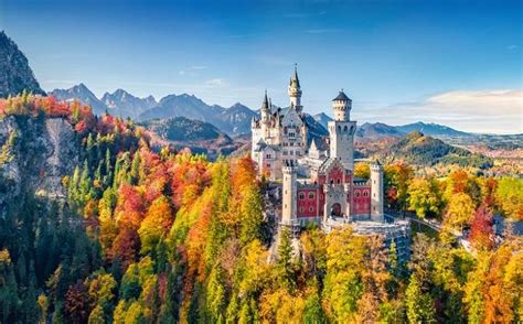 Wat is tarwebier uit Beieren