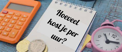 Wat kost een handieman per uur